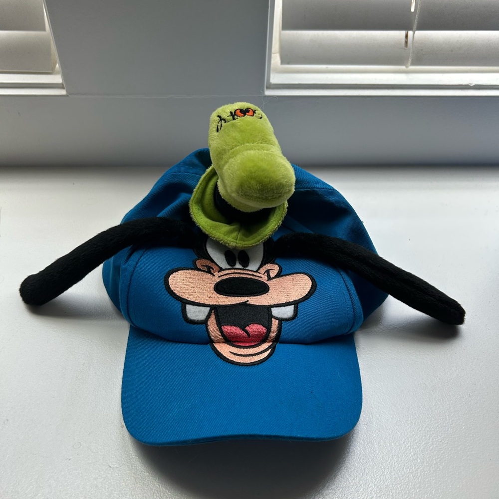 NWOT Blue and Green Kids Goofy Hat